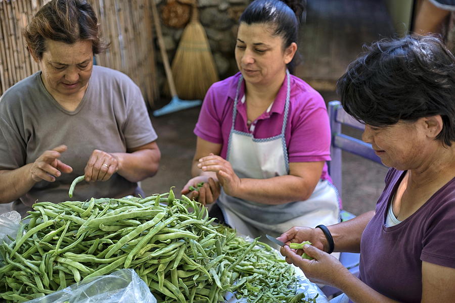 Women cleaning fresh green beans Photograph by Emreturanphoto