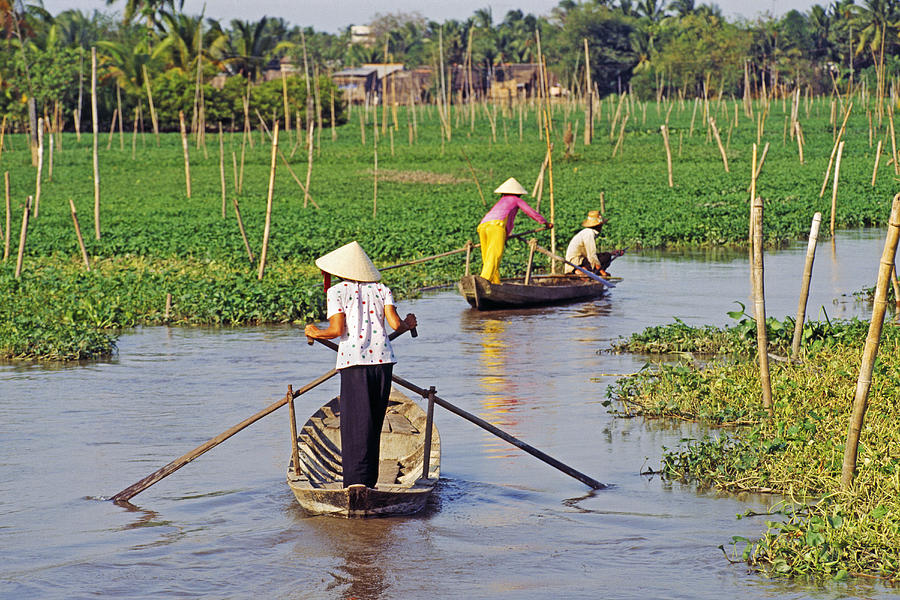 Women in boats, Mekong Delta, Vietnam Photograph by John W Banagan