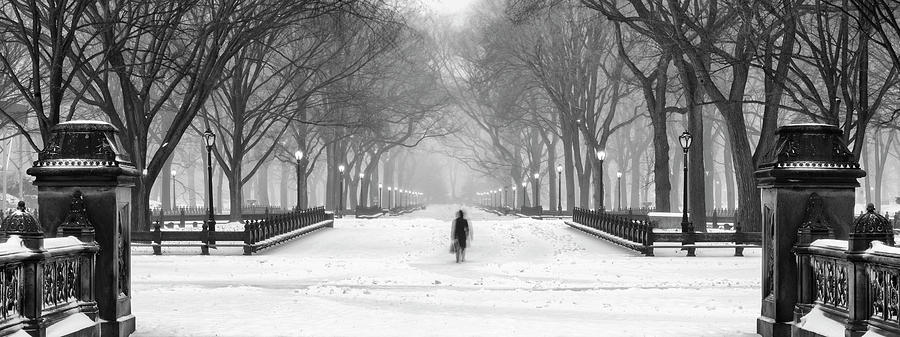 Women In Central Park And Snow Photograph