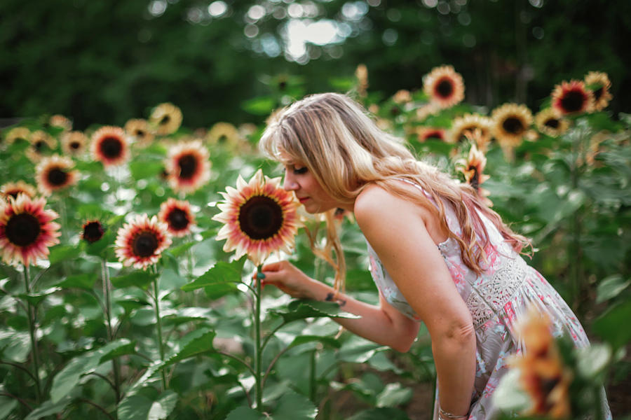 Women In Sunflower Field Photograph by Pany Detmongkhonh - Fine Art America