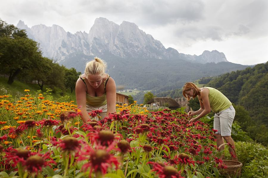 Women picking flowers Photograph by Stefano Gilera