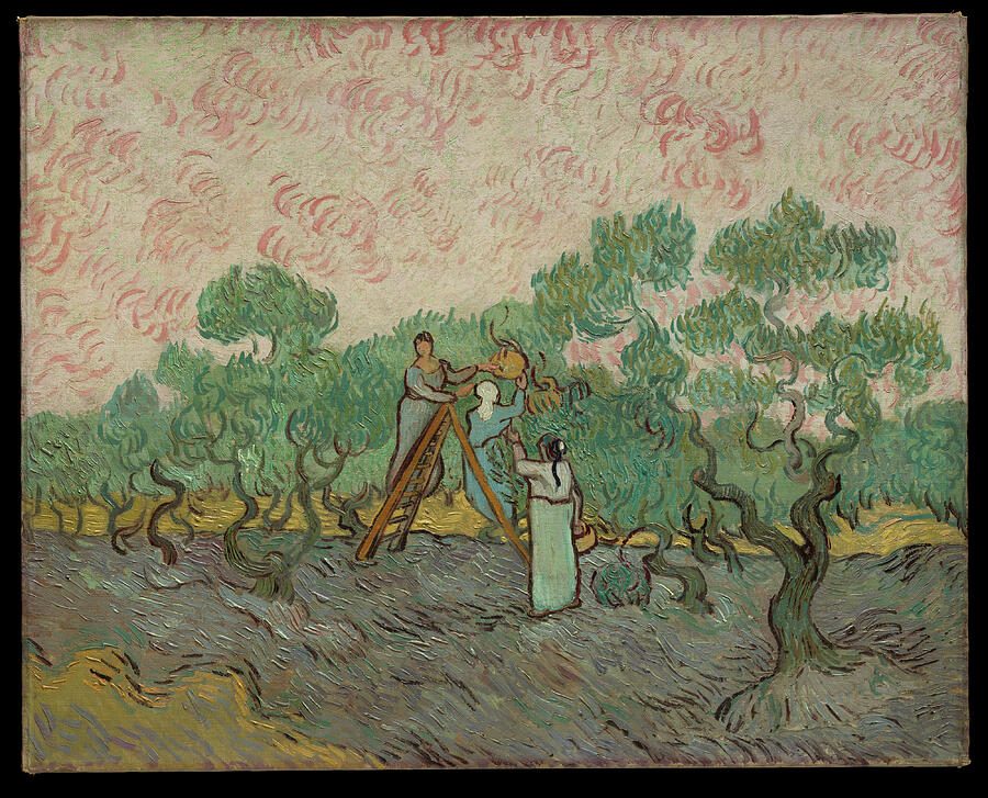 Vincent Van Gogh Drawing - Women Picking Olives by Abdelmoula Taia