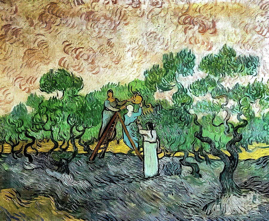 Women Picking Olives By Vincent Van Gogh Painting By Vincent Van Gogh Pixels Merch