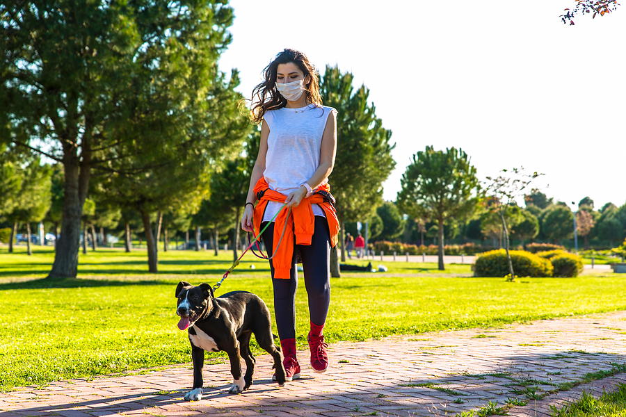 Women walking with her dog in park Photograph by Aydinmutlu