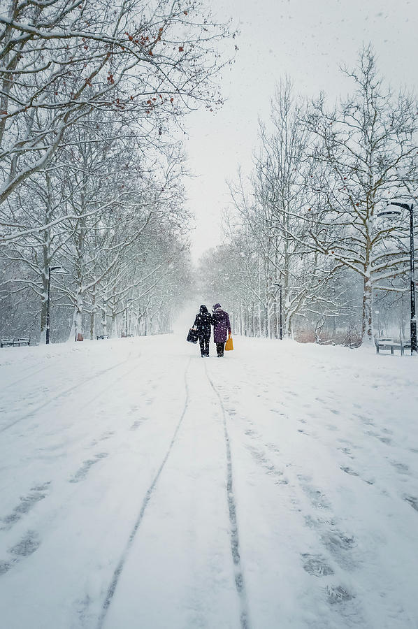 Women Walks The Snowy Street Photograph