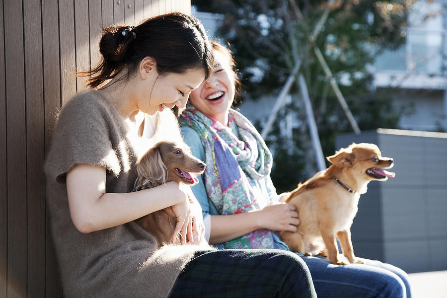 Women With Dogs Relaxed On The Bench Photograph by Kohei Hara