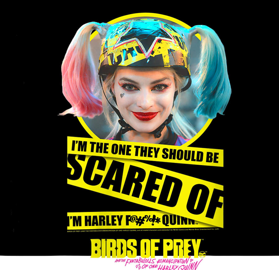 Womens Birds of Prey Harley Quinn Scared Of VNeck T Digital Art by Van Art