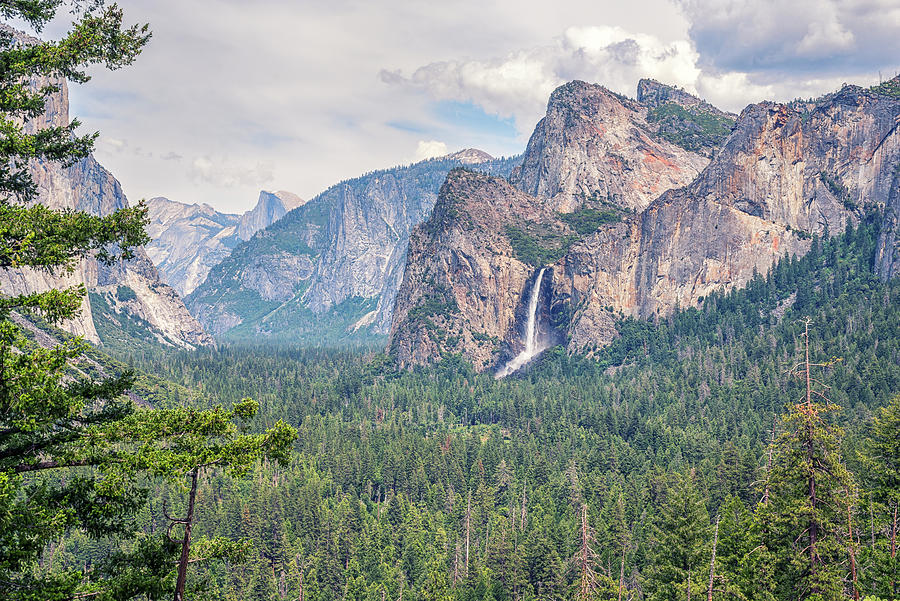 Wonder and  Awe Yosemite Valley Photograph by Joseph S Giacalone