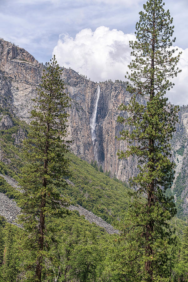 Wonder and Beauty Yosemite Valley Photograph by Joseph S Giacalone