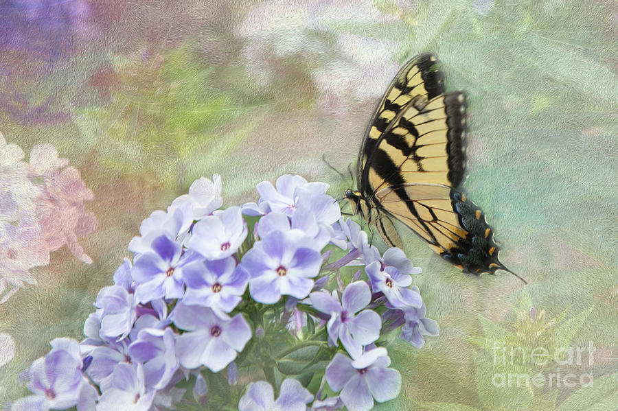 Wonderful Garden Swallowtail Butterfly Digital Art by Amy Dundon