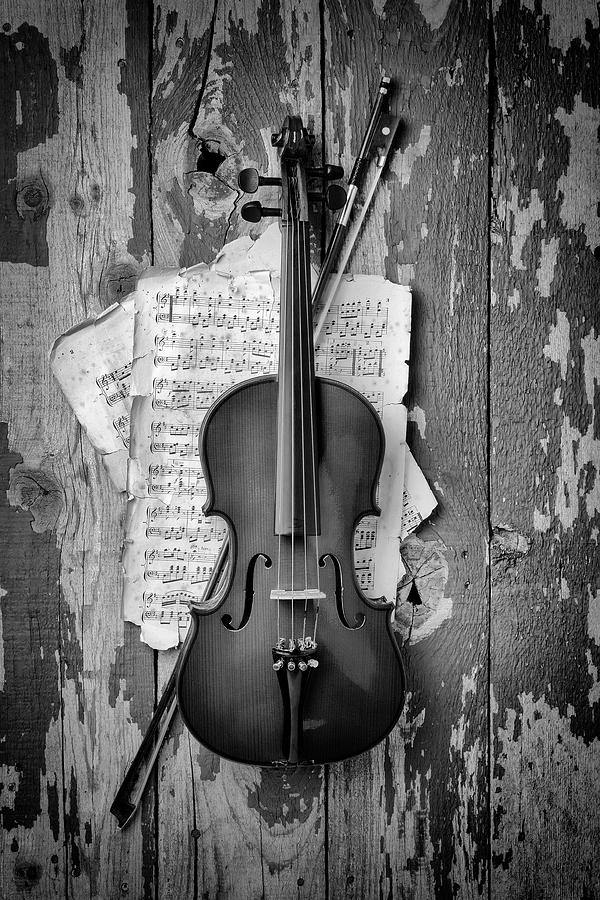 Wonderful Old Hanging Violin Photograph by Garry Gay - Pixels