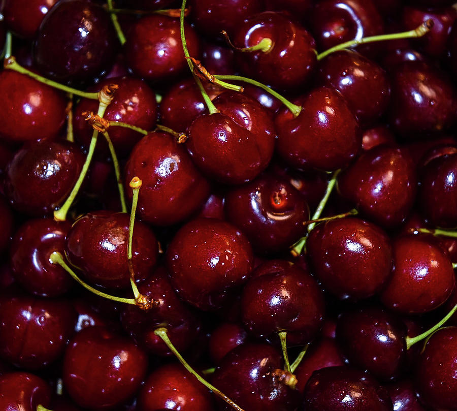 Wonderful sweet red cherries  Photograph by Bruce Carpenter