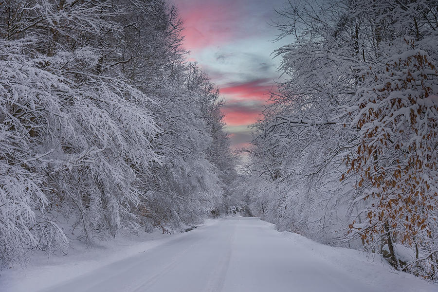 Winter Photograph - Wonderland by Michael Griffiths