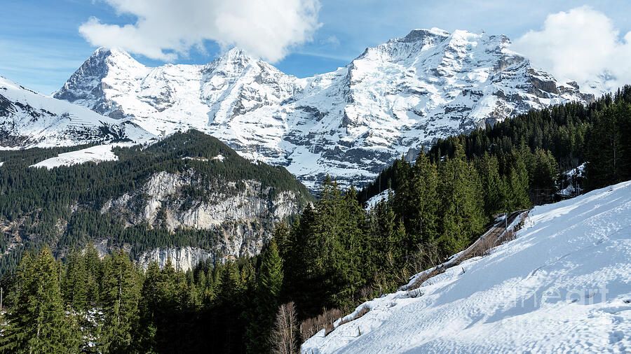 Wonders of Winteregg Photograph by Anthony Baatz