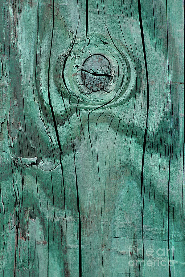 wood abstract photography - Green Knot Photograph by Sharon Hudson