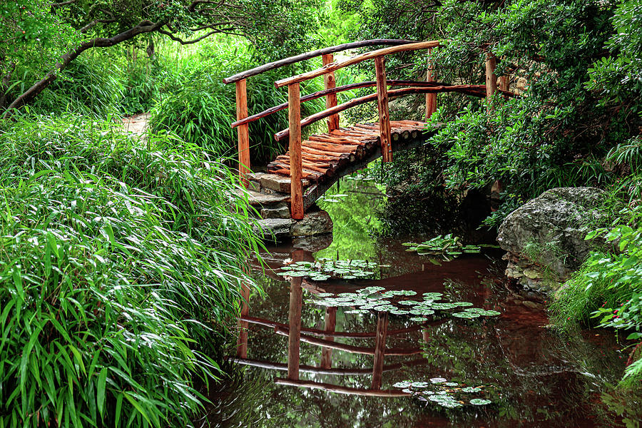 Wood bridge over a Japanese Botanical Garden Photograph by David Ilzhoefer