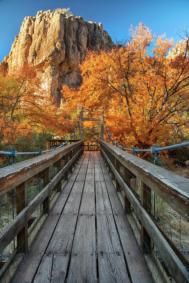 Wood Bridge with Fall Colors Vertical Photograph by Dave Dilli