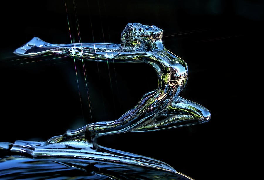 Wood Chrome hood Ornament Digital Art by Lonestar North