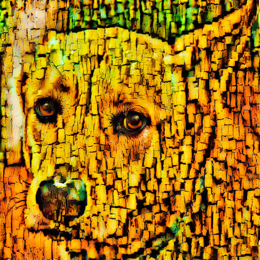 Wood Dog Photograph by Bruce Block