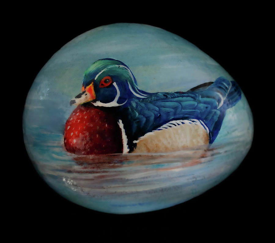Wood Duck Floating Painting by Nancy Lauby
