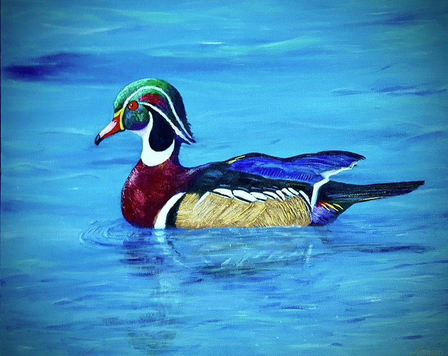 Wood Duck Painting By Jill Logan | Pixels