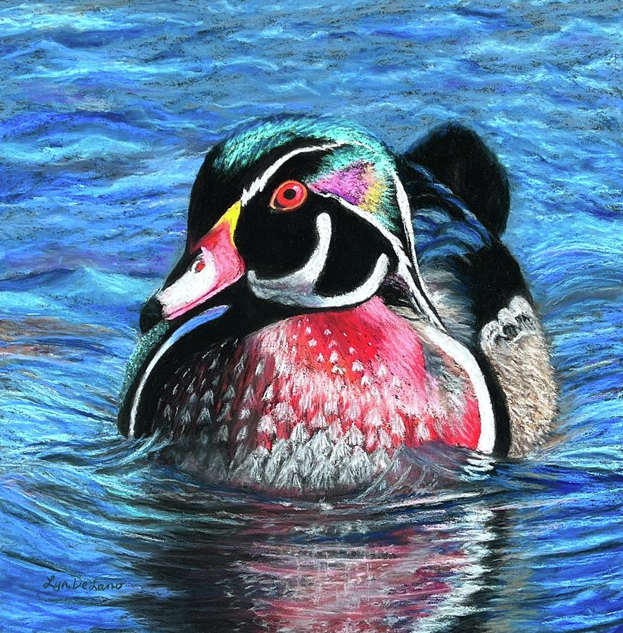 Wood Duck Pastel by Lyn DeLano - Fine Art America