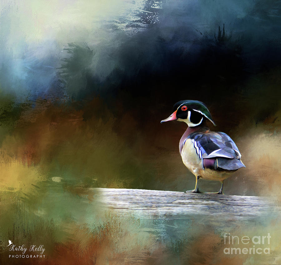 Wood Duck on Log Mixed Media by Kathy Kelly