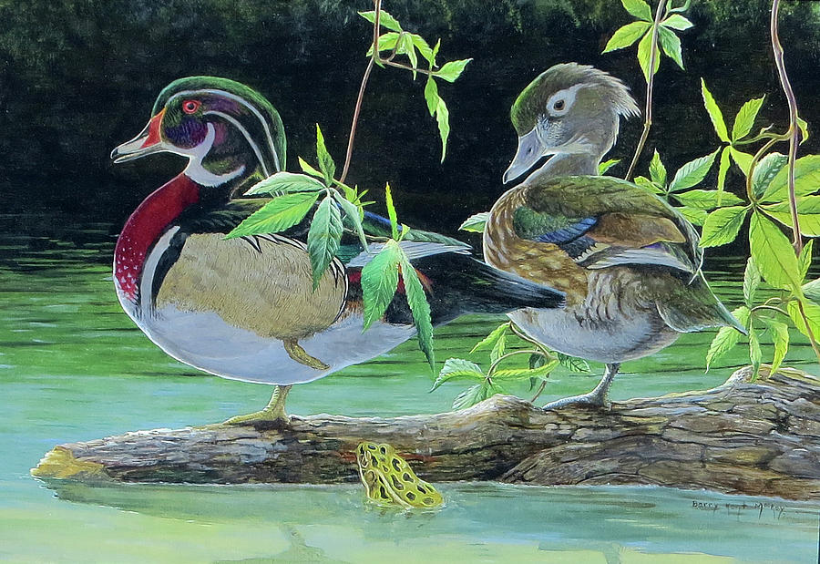 Wood Ducks and Leopard Frog Painting by Barry Kent MacKay