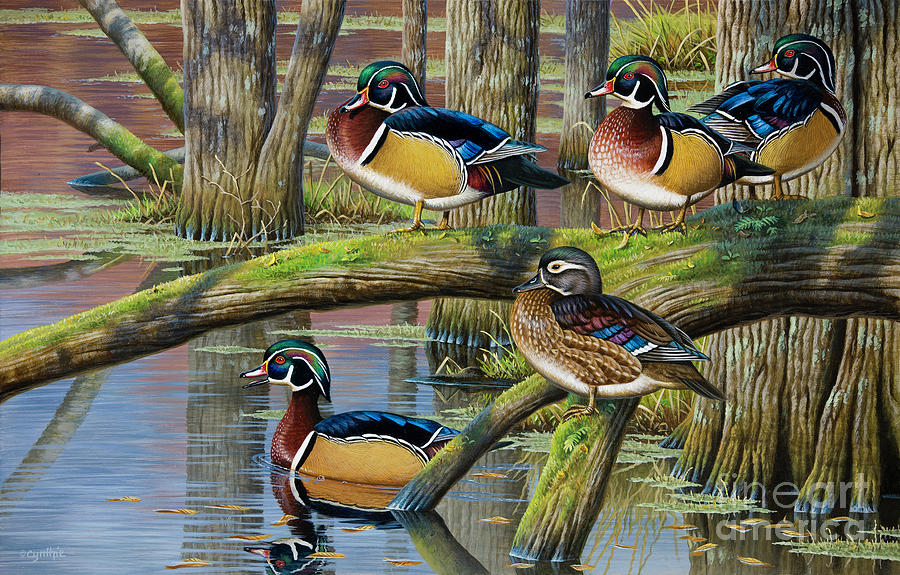 Wood Ducks Painting by Cynthie Fisher