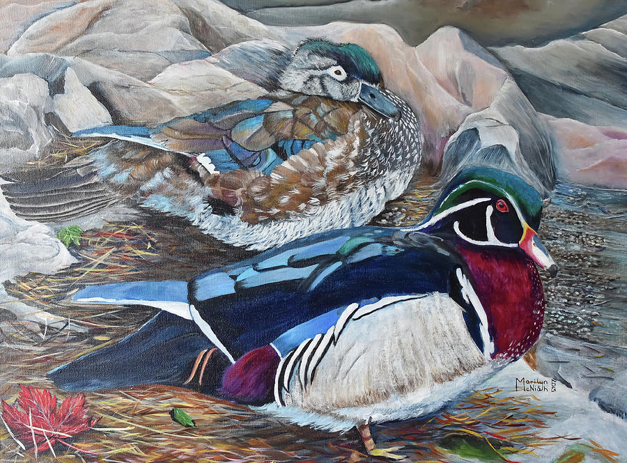 Wood Ducks  Painting by Marilyn McNish