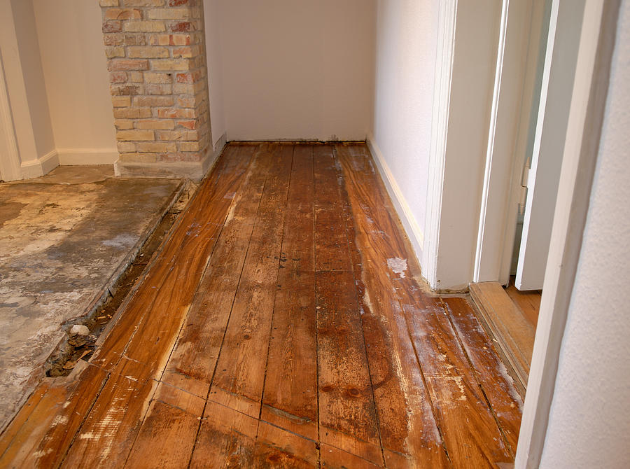 Wood floor in serious need of repair and renovation  Photograph by Gaiamoments