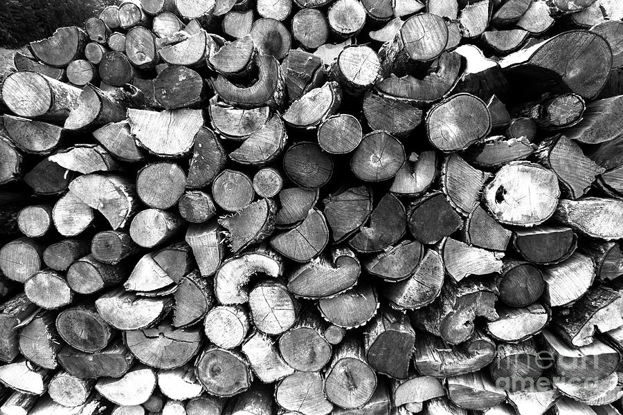 Wood Pile Photograph by Steven Dunn