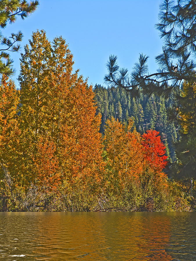 Wood River Oregon Photograph