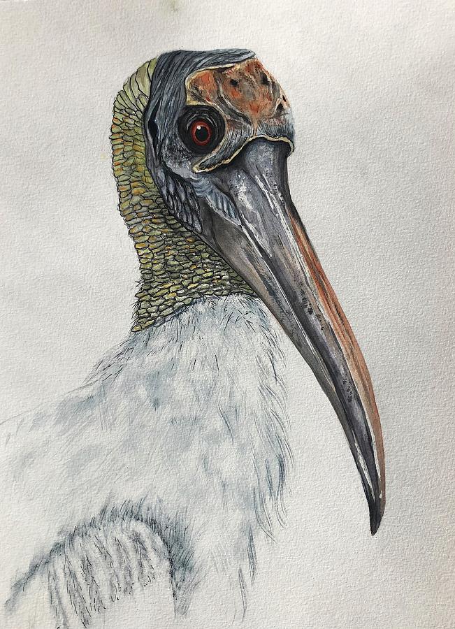 Wood Stork Painting by B Holden - Fine Art America