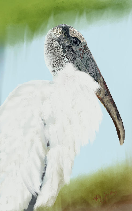 Wood Stork Digital Art by Mike Jenkins