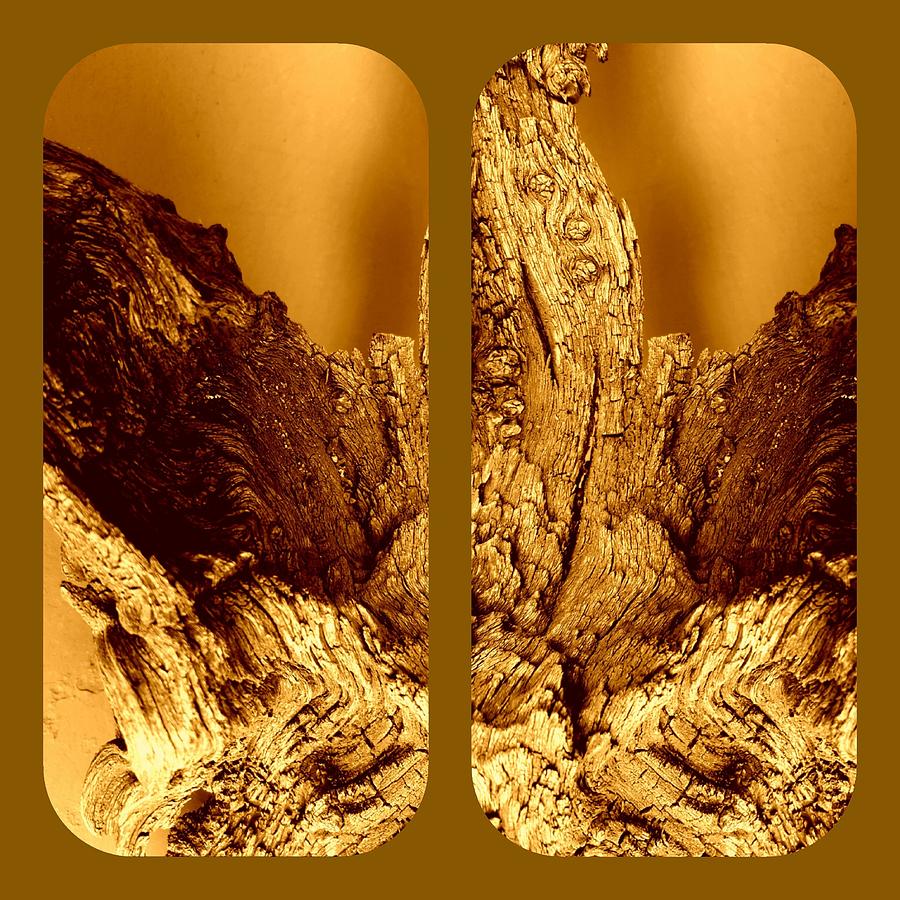 Wood Stump Collage Digital Art by Loraine Yaffe