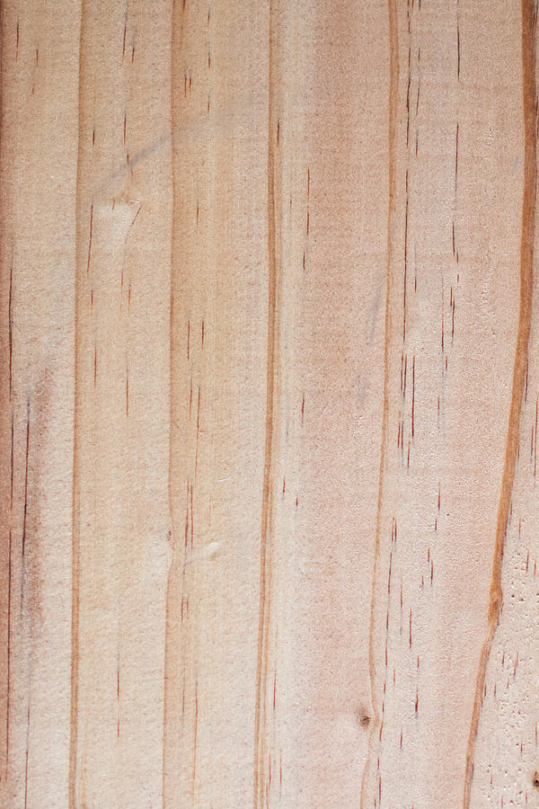 Wood Texture Photograph by Friendmalo