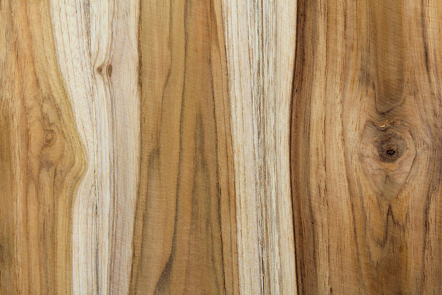Wood Texture Photograph by Siamman