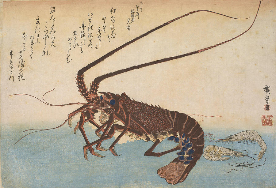 Woodblock print from the Large Fish Series Ise ebi Crawfish or Spiny ...