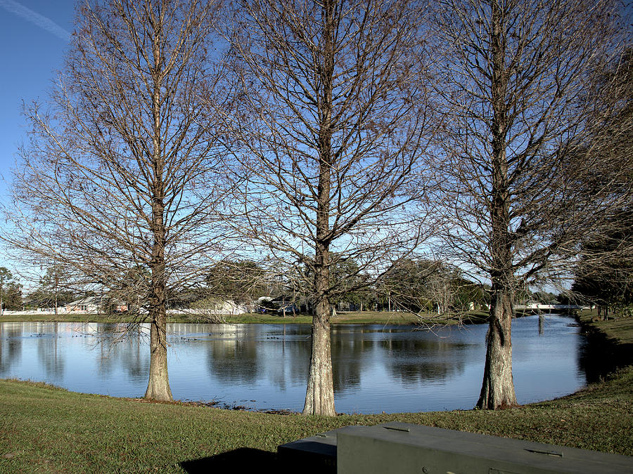 Woodcrest Drive Pond Photograph by Christopher Mercer