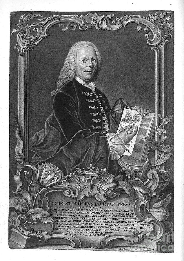 Woodcut print of Christoph Jakob Trew Photograph by Historic illustrations
