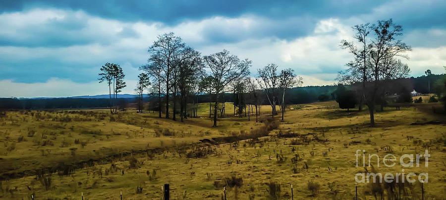 Wooded Open Field Photograph by Maxine Billings - Fine Art America