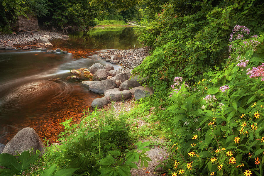 Summer Photograph - Wooded Stream by Andrew Soundarajan