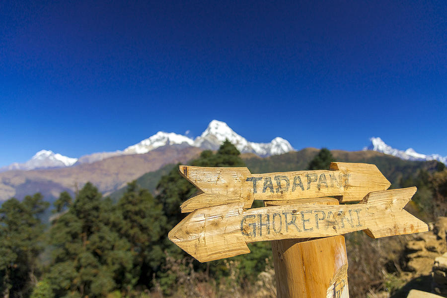 Wooden arrow shape direction sign during the trekking trail from Poon Hill to Tadapani. Photograph by Copyright by Siripong Kaewla-iad