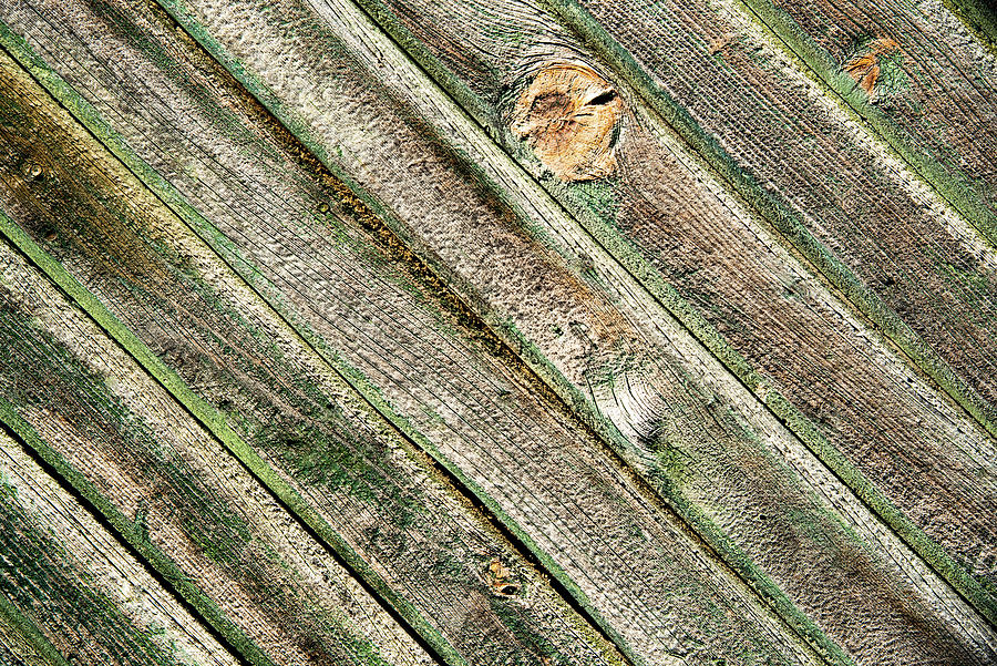 Wooden background surface. Green wood abstract Photograph by Michalakis Ppalis