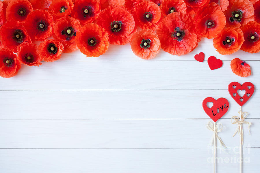 Wooden background with red flowers poppies and hearts Photograph by Boon Mee