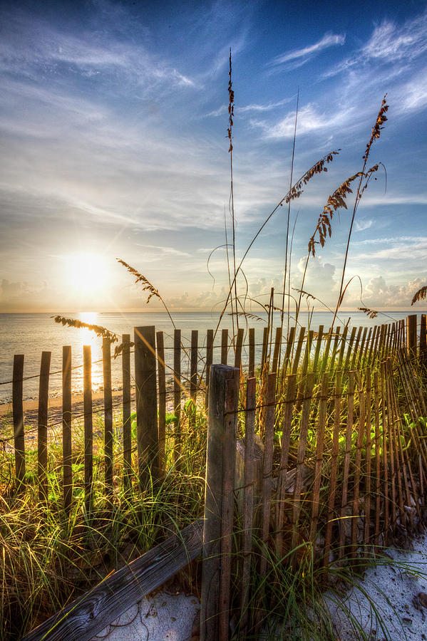 Wooden Beach Fences Photograph by Debra and Dave Vanderlaan