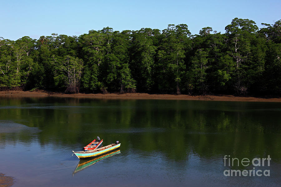 Jungle Photograph - Wooden boats on the Tuira River Darien Panama by James Brunker