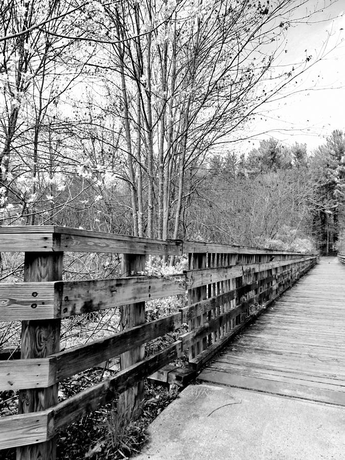 Wooden Bridge, Alexander Carr Park, Derry, NH Photograph by Maureen