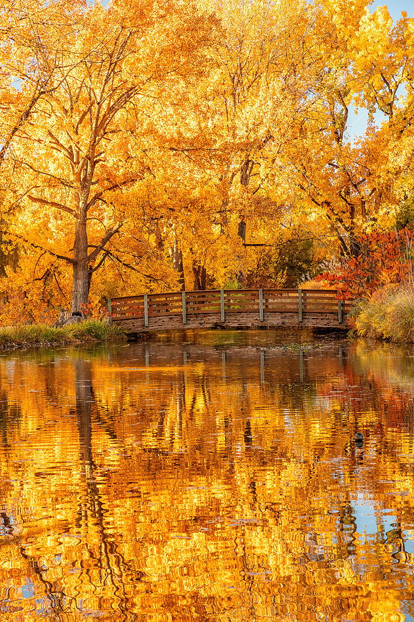Wooden Bridge Among Fall Colors Photograph by Tony Hake